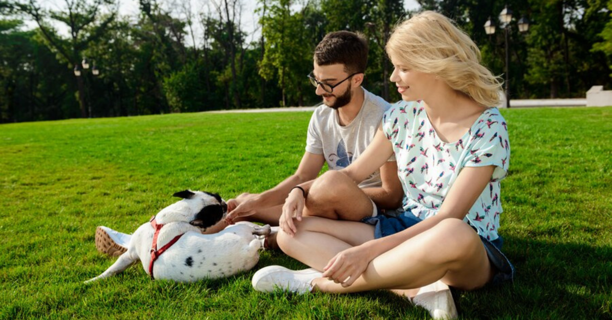 New Dog Parents